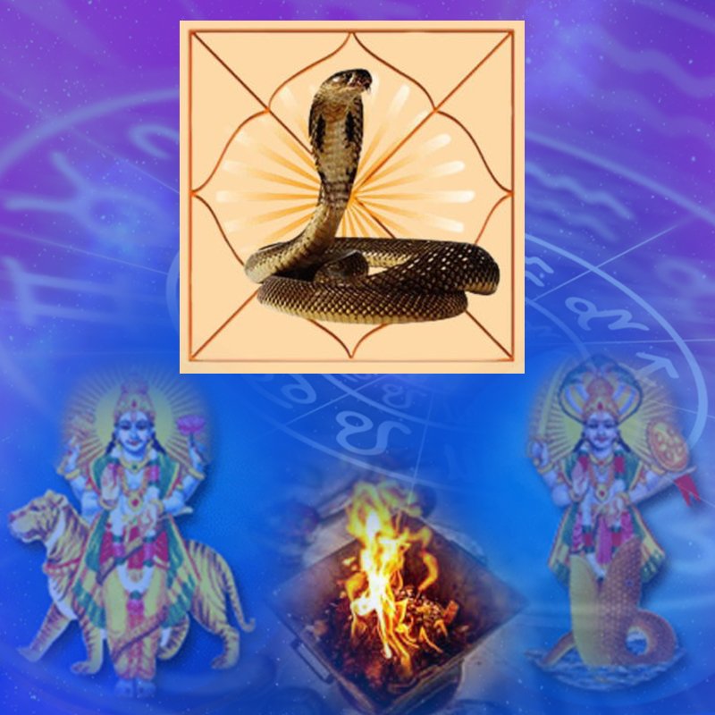 Kaal Sarp Dosh Nivaran Puja