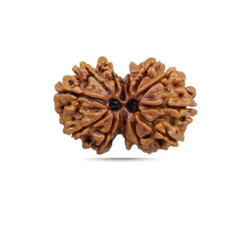 Gauri Shankar Rudraksha Nepal