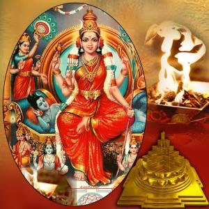 Shri Vidya Puja and Yagna