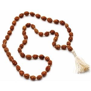 2 Mukhi Mala (Ardhanarishwar Mala)