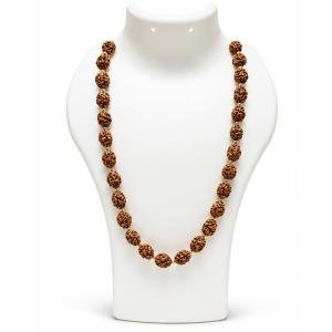 2 Mukhi Mala (Ardhanarishwar Mala)