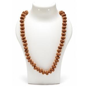8 Mukhi Mala (Ganesha Mala)