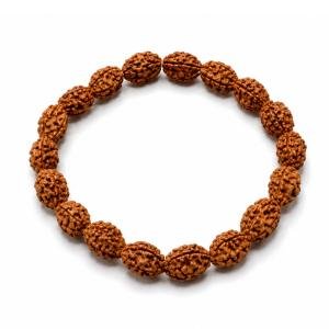 2 Mukhi Bracelet (Ardhanarishwar Bracelet)