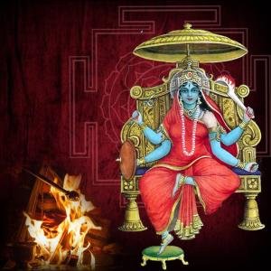 Matangi Devi Puja and Yajna (Homa)