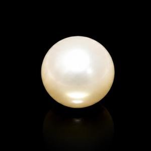 South Sea Pearl - 8.85 Carats