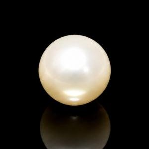 South Sea Pearl - 8.85 Carats