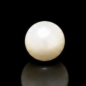 South Sea Pearl - 3.45 Carats