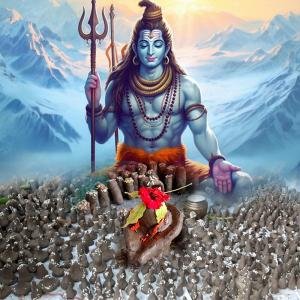 Parthiv Shivling Puja